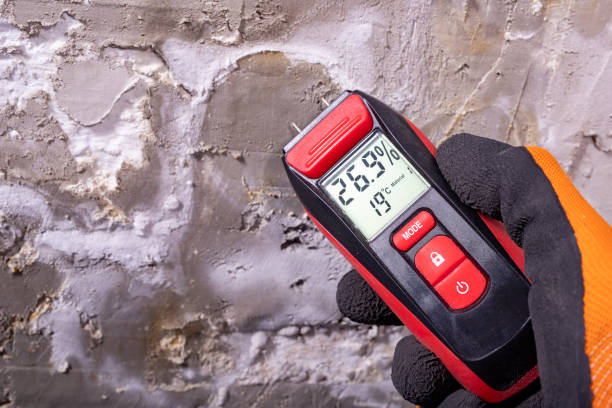 Best Preventive Mold Services in Harvest, AL